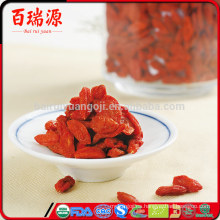 Saludable goji berry goji berry secado orgánica goji berry